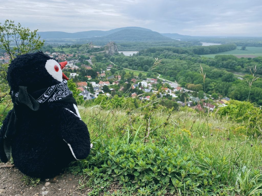Big picture penguin caste