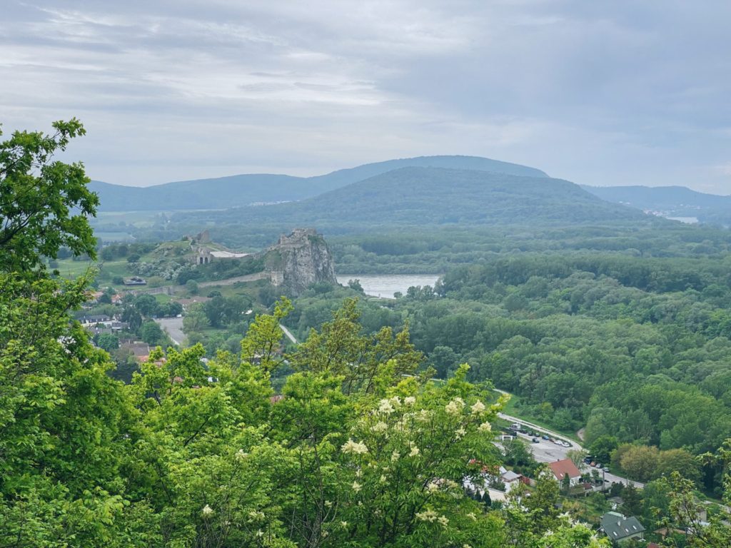 Devin castle