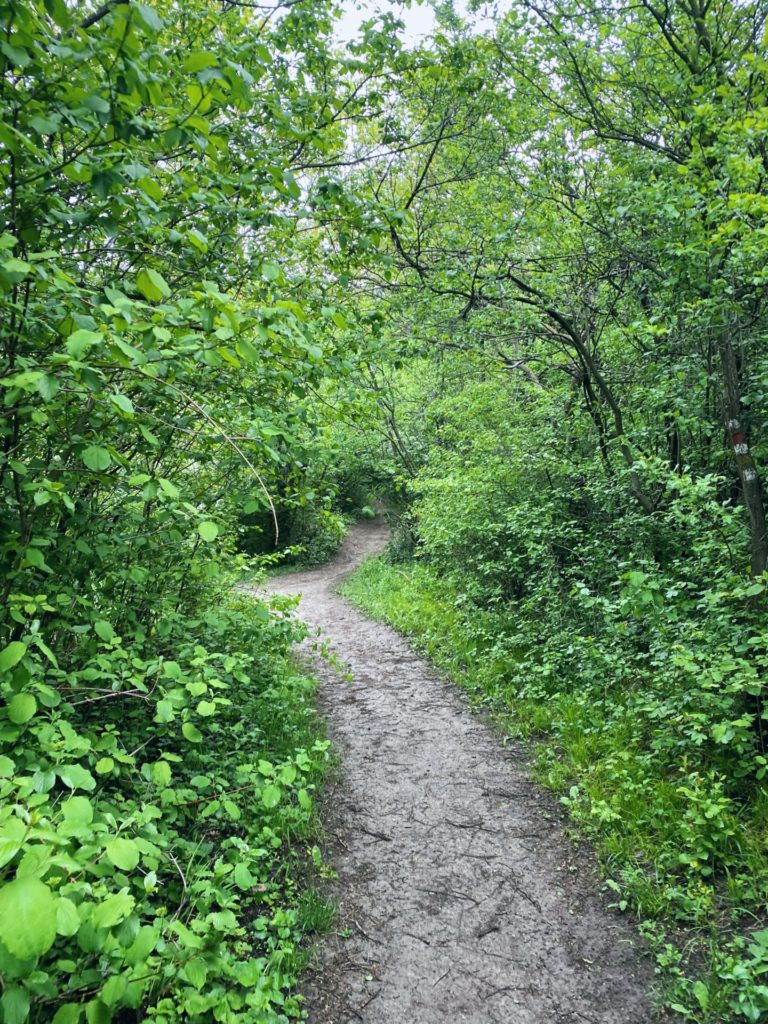 Devin forest path
