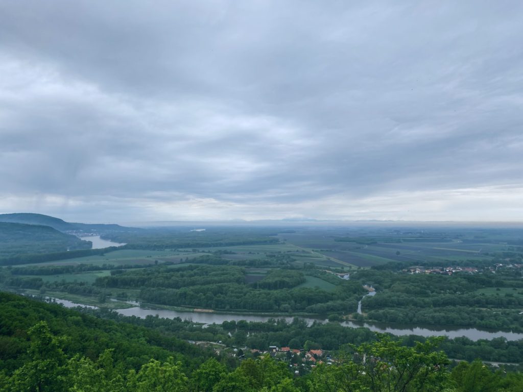 Devin in distance