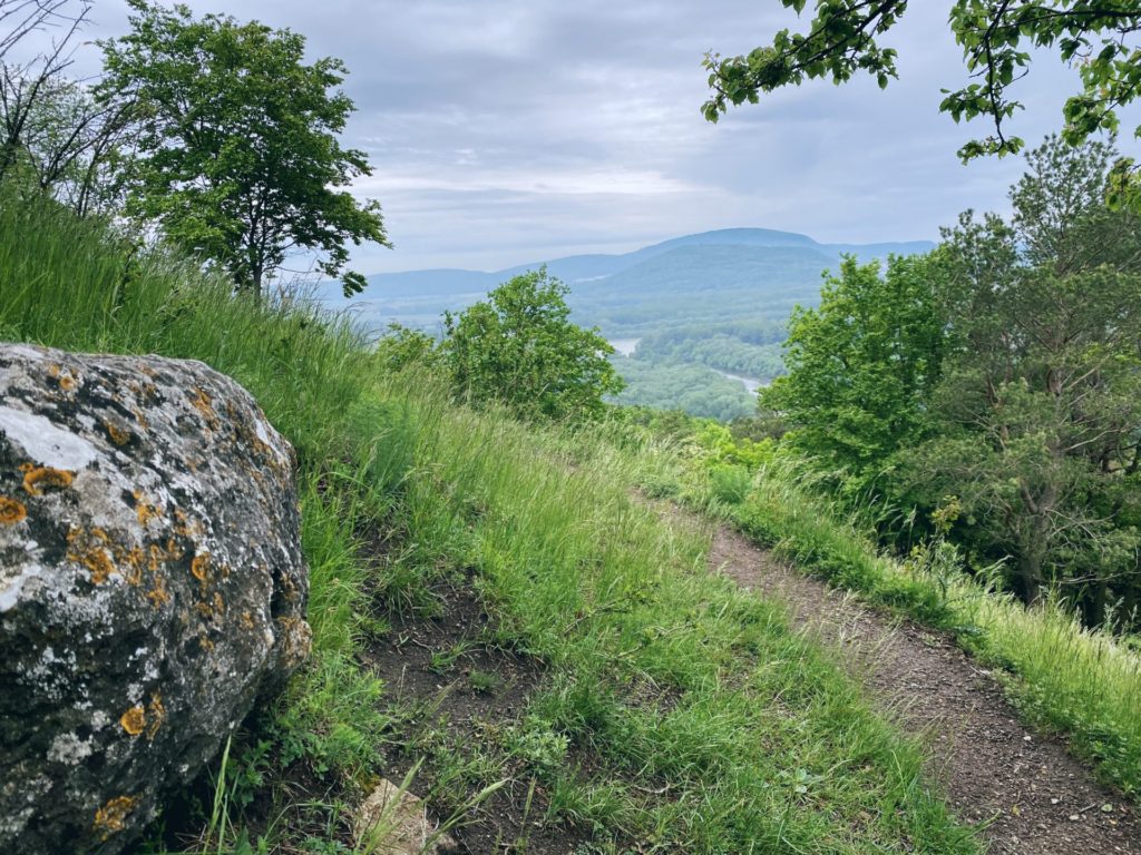 Devin in distance