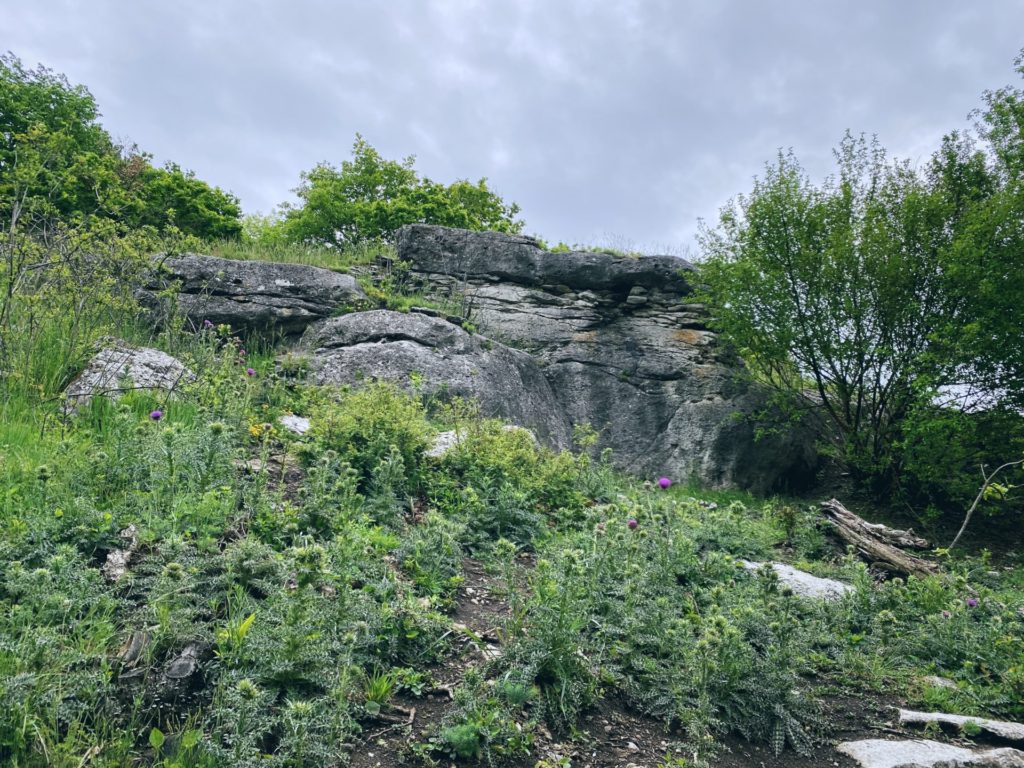 Devin nature