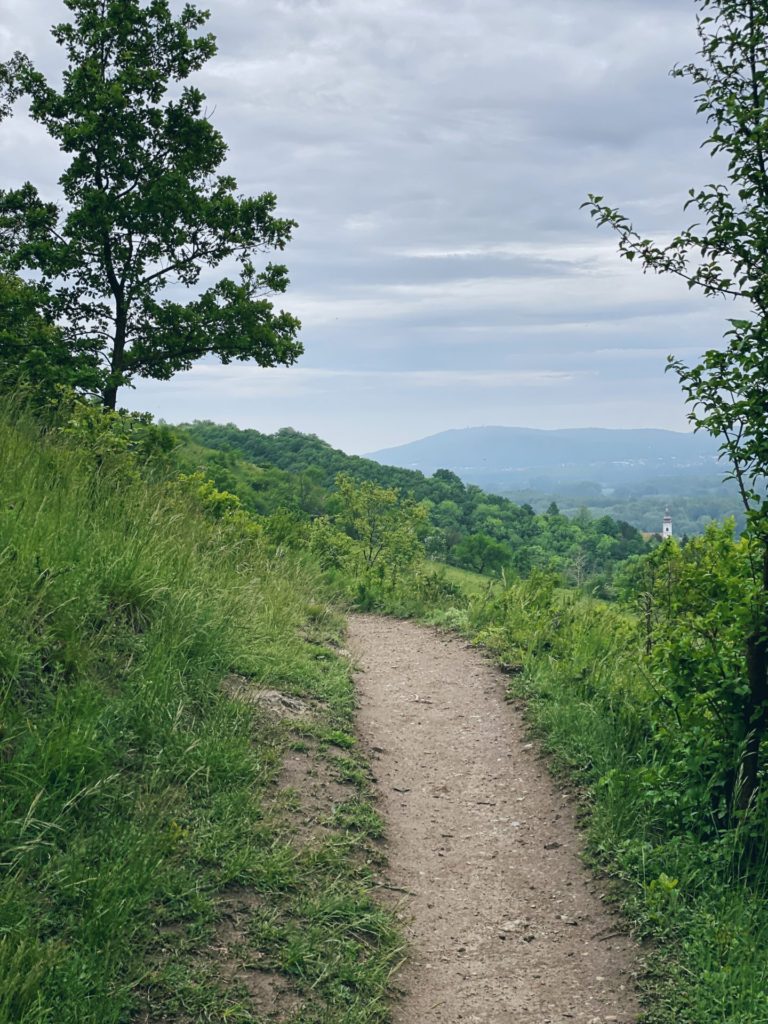Devin path