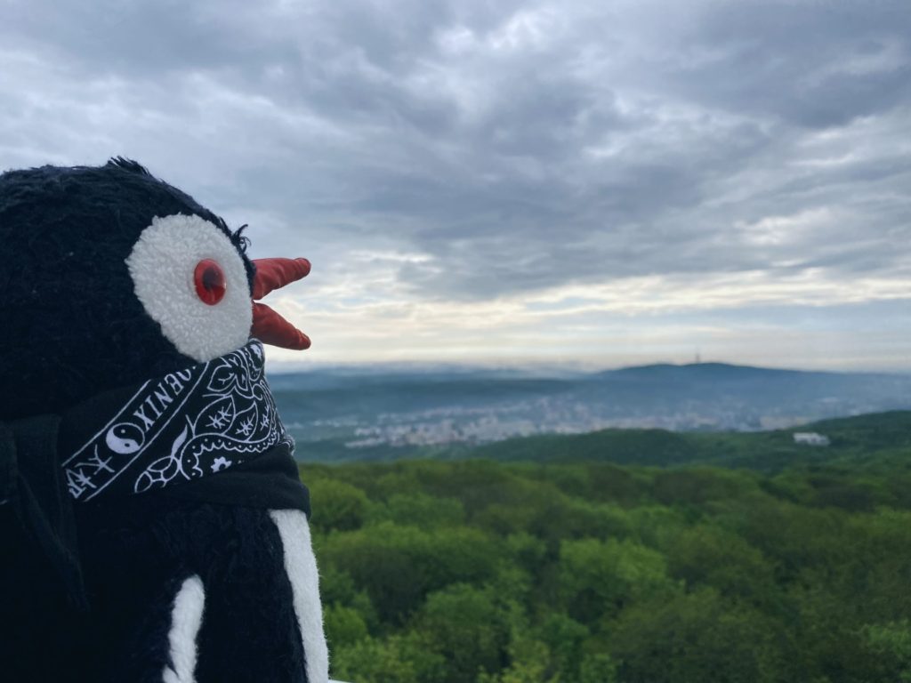 Devinska Kobyla view from Lookout Tower