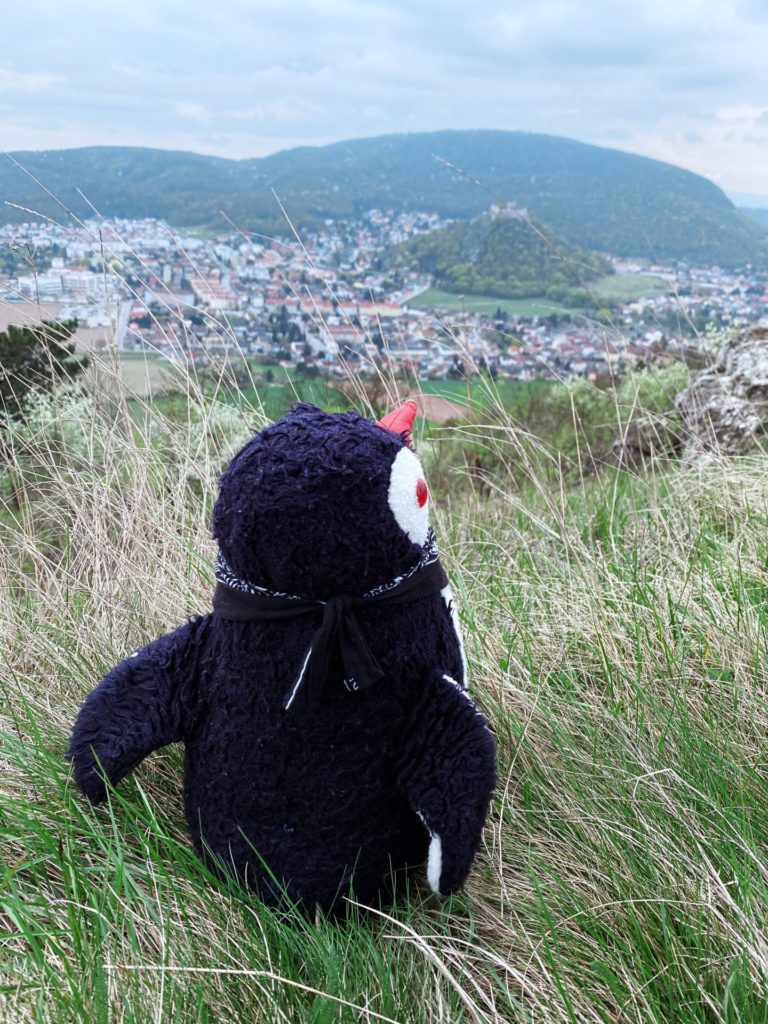 Plush penguin Miško sits in tall grass on Braunsberg Hill overlooking the town below