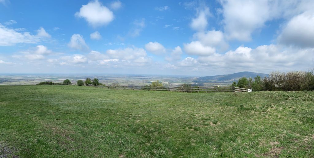 Braunsberg Hill