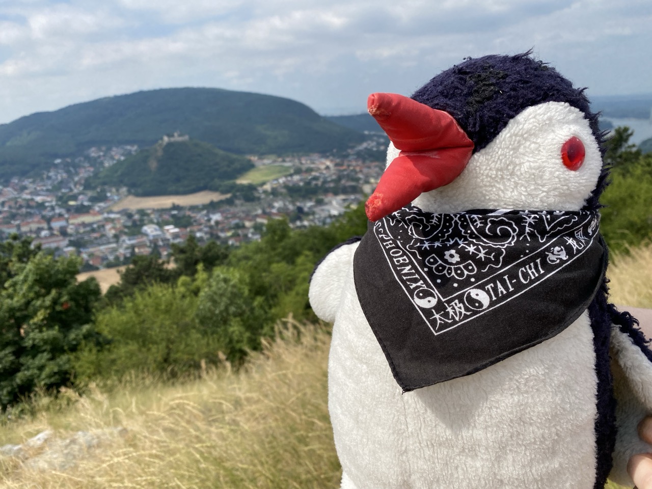 Braunsberg Hill austria
