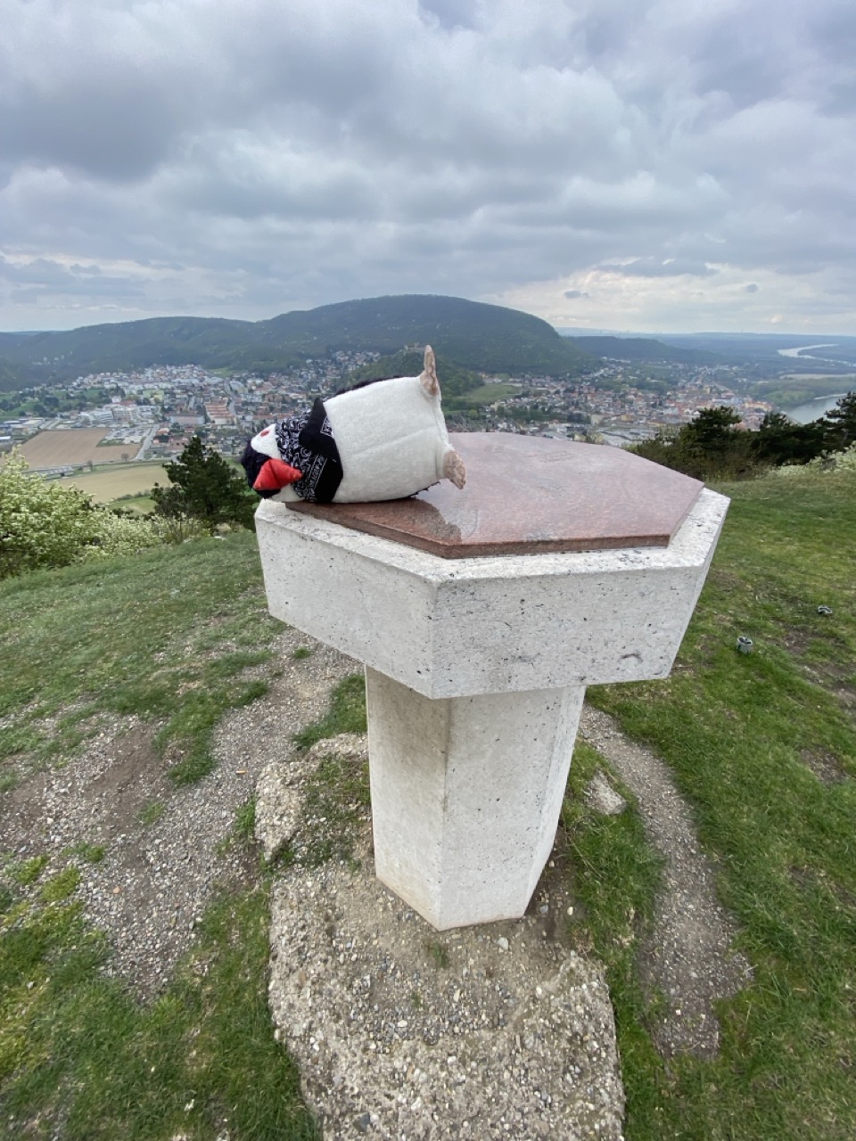 Braunsberg Hill austria