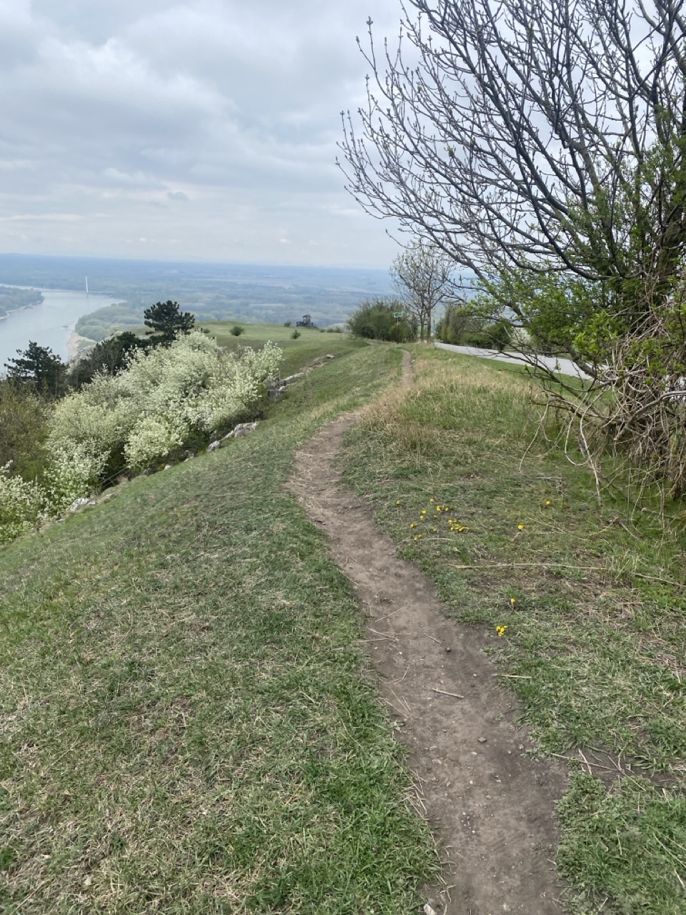 Braunsberg Hill austria