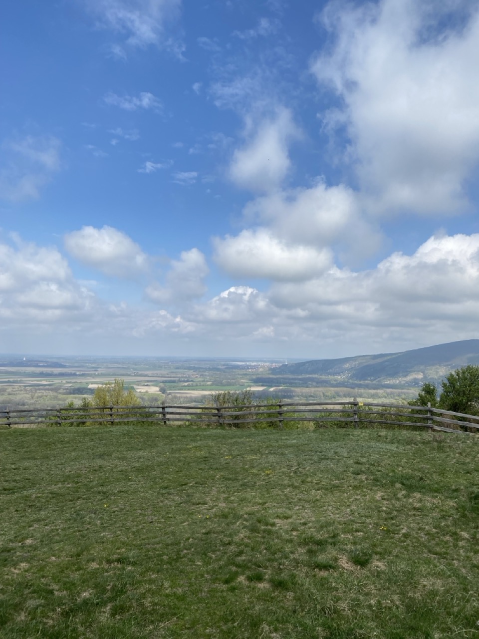 Braunsberg Hill austria