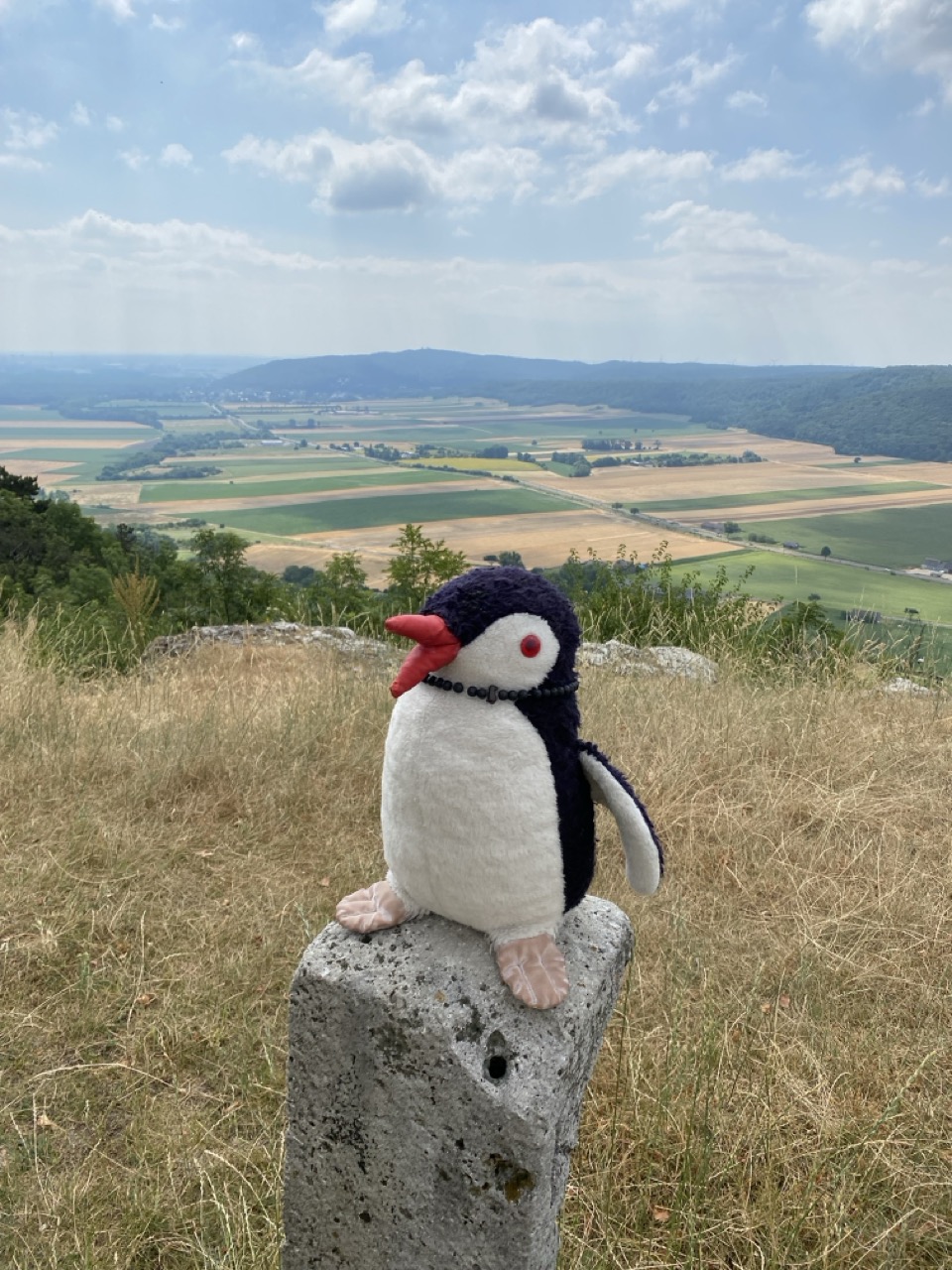 Braunsberg Hill austria
