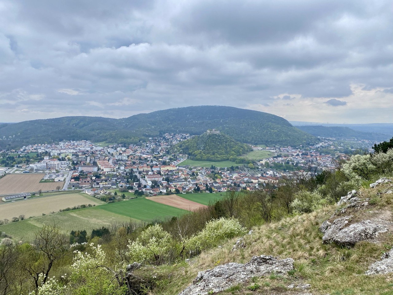 Braunsberg Hill austria