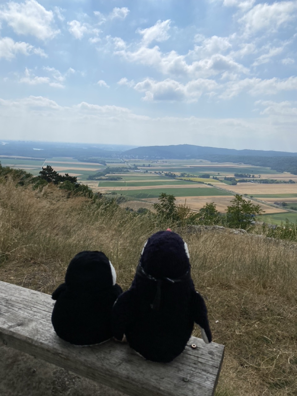 Braunsberg Hill austria