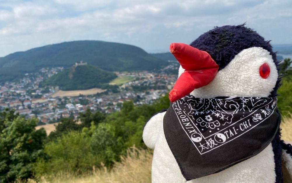 Braunsberg Hill austria featured