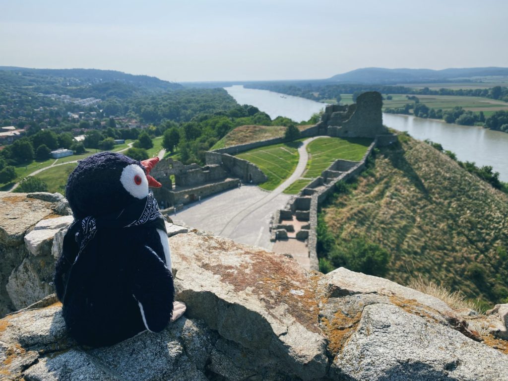 Devin Castle