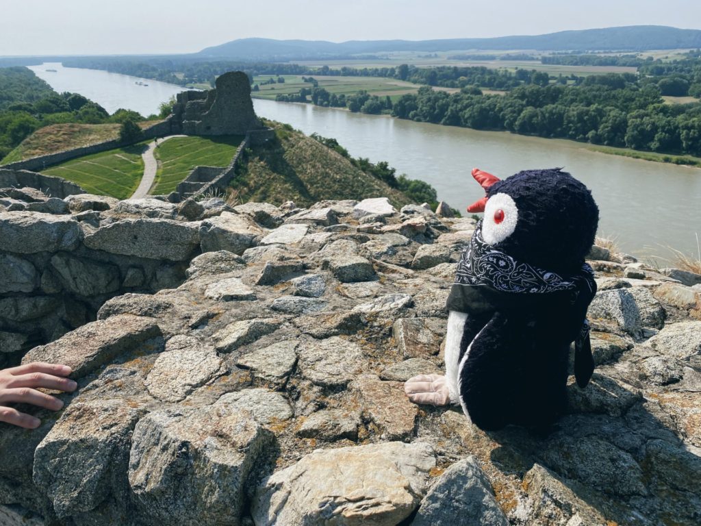 Devin Castle