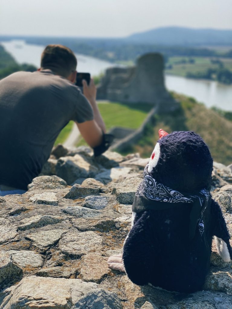 Devin Castle