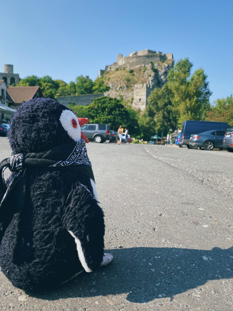 Devin Castle parking