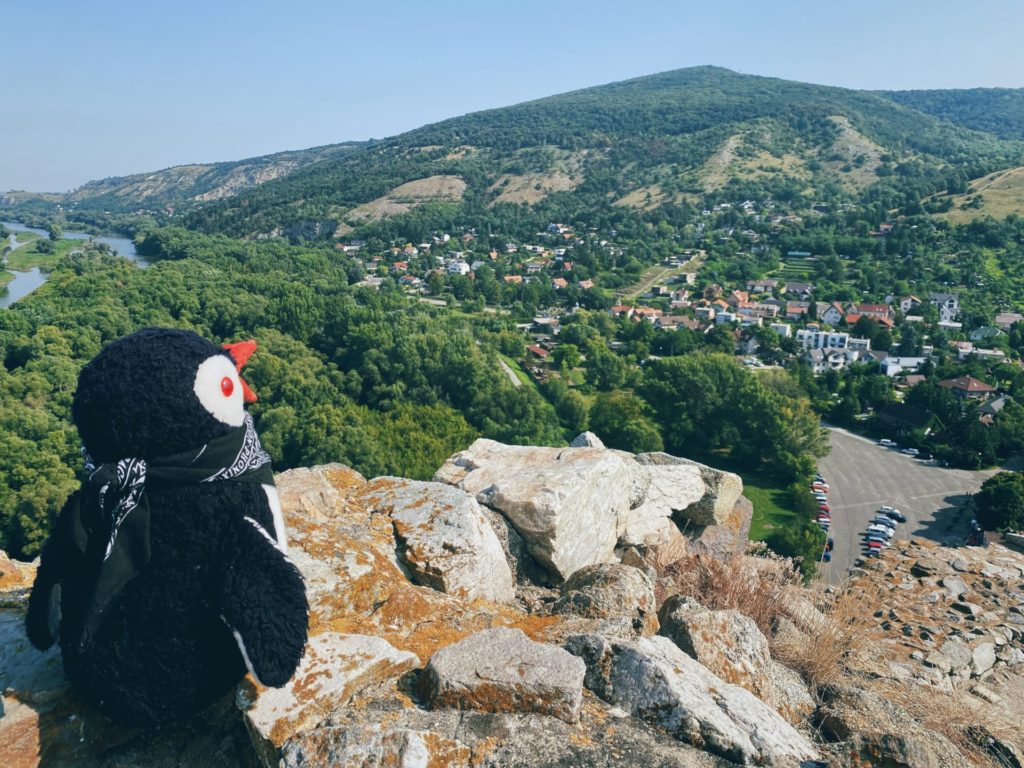Devin Castle view