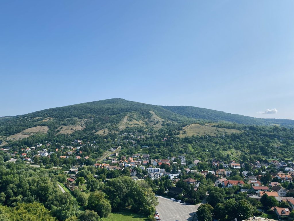 Devin top view