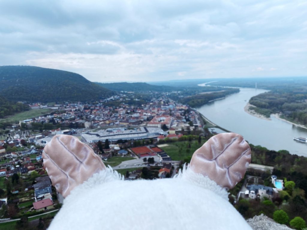 Plush penguin feet overlook the town of Hainburg and the Danube River