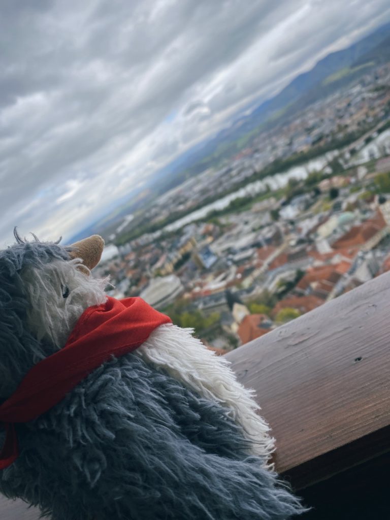 Matthew tower trencin Castle view