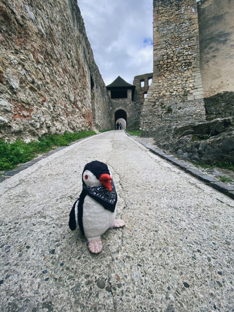 Waddling trencin Castle