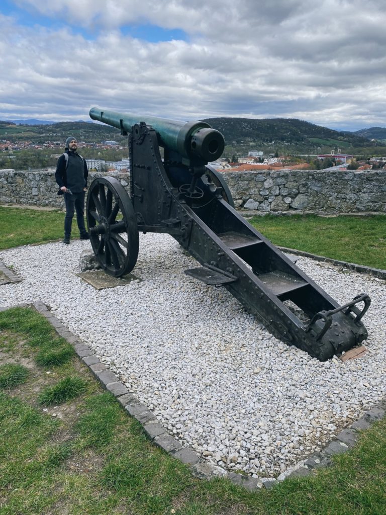 Waddling trencin Castle