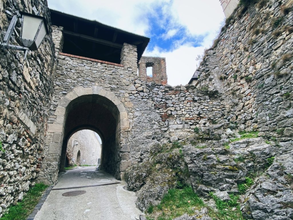 Waddling trencin Castle