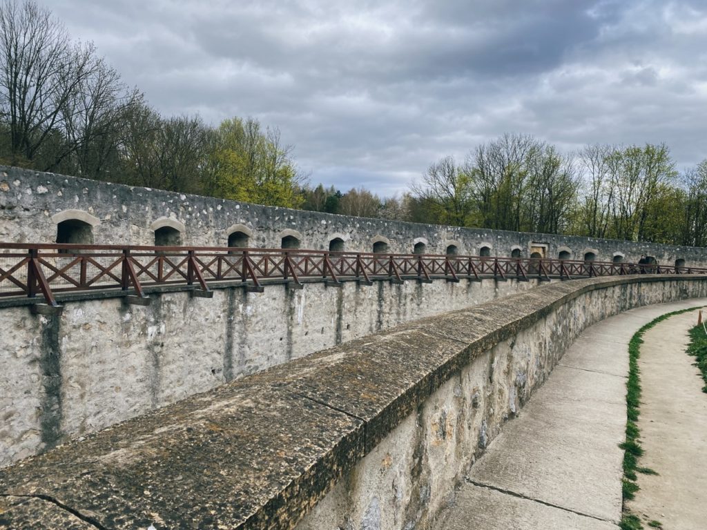 Waddling trencin Castle
