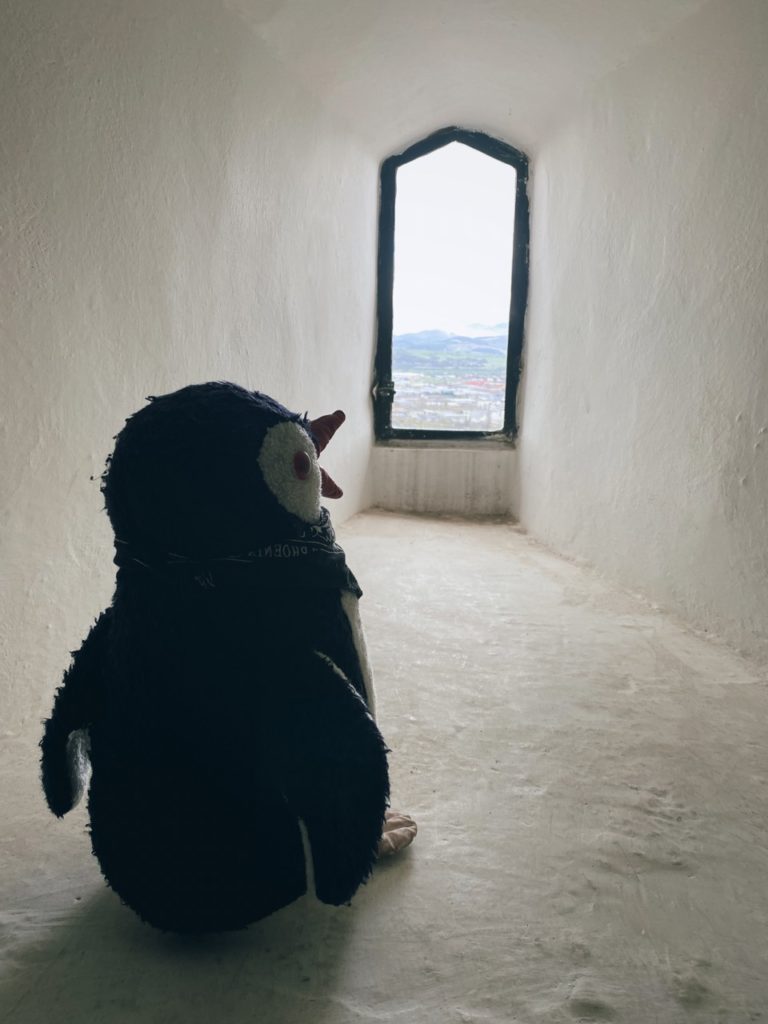 Waddling trencin Castle