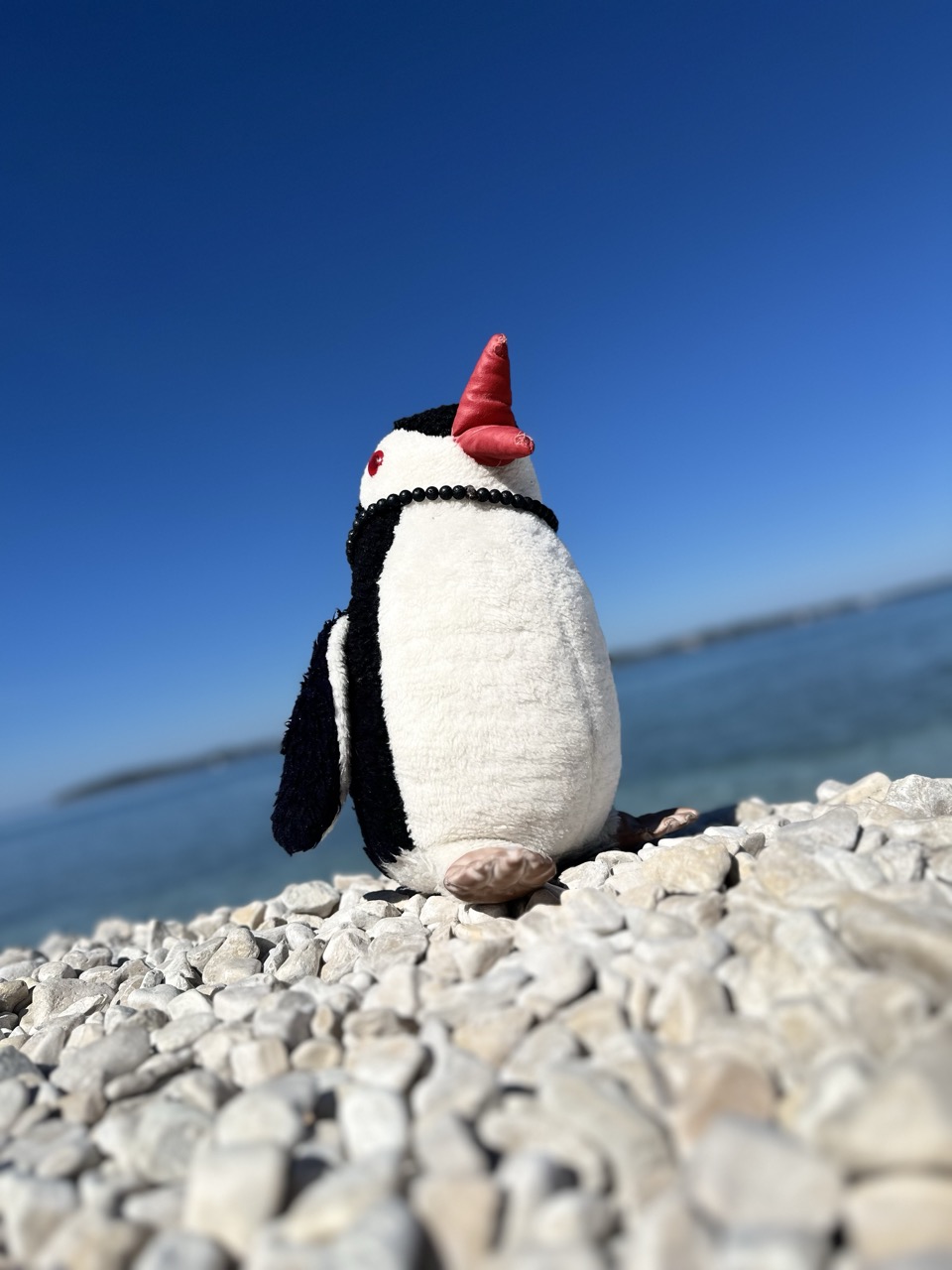 Plush penguin toy sitting on a rocky beach against a blue sky