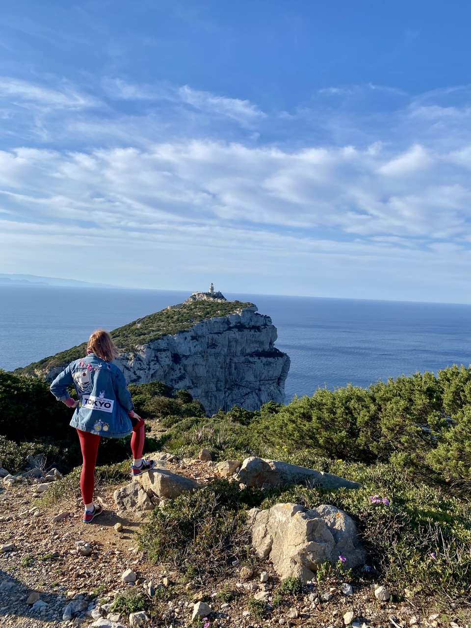 Person looking at a lighthouse on a rocky cliff above the sea