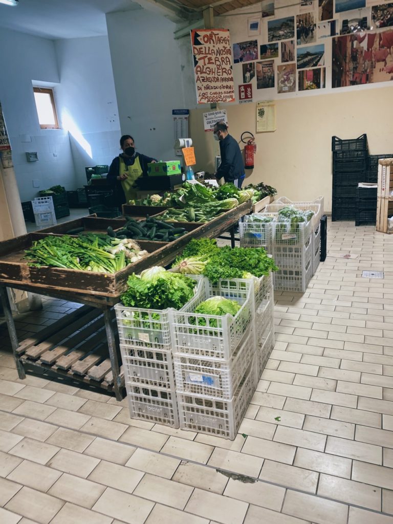 Alghero market