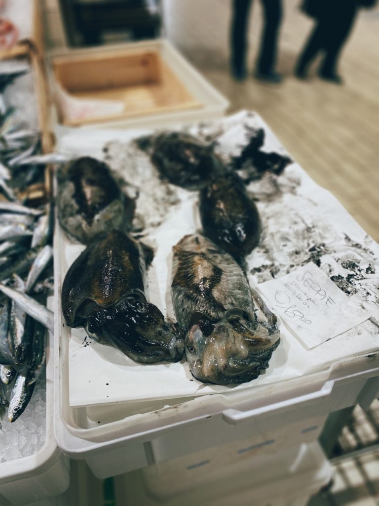 Alghero market