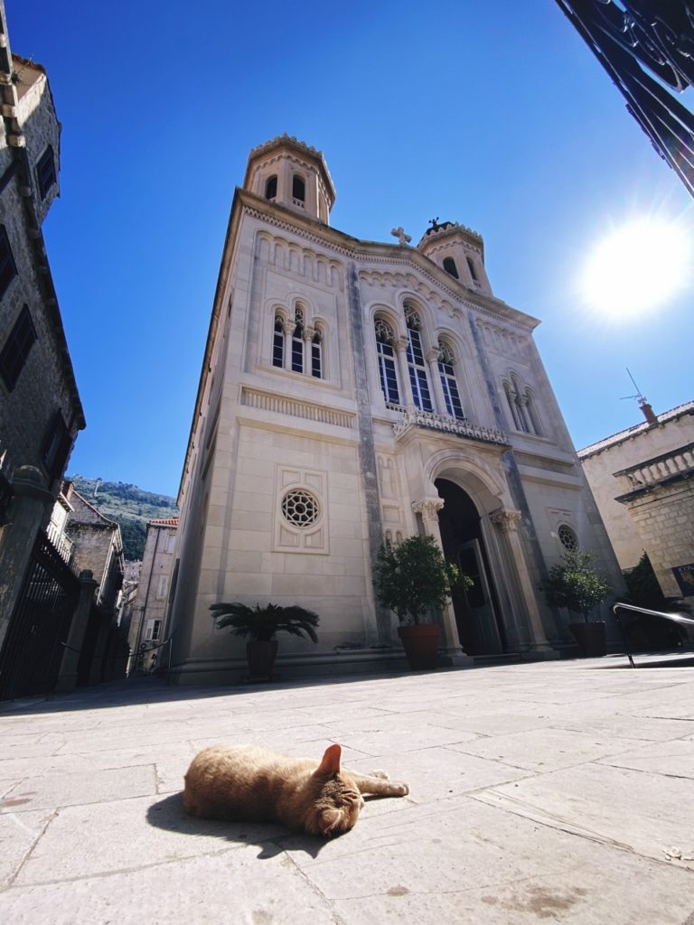 Cats of Dubrovnik