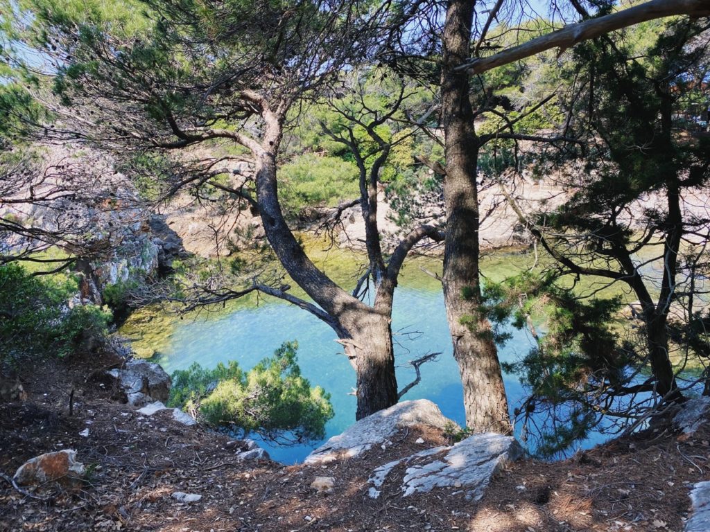 Dead sea Lokrum