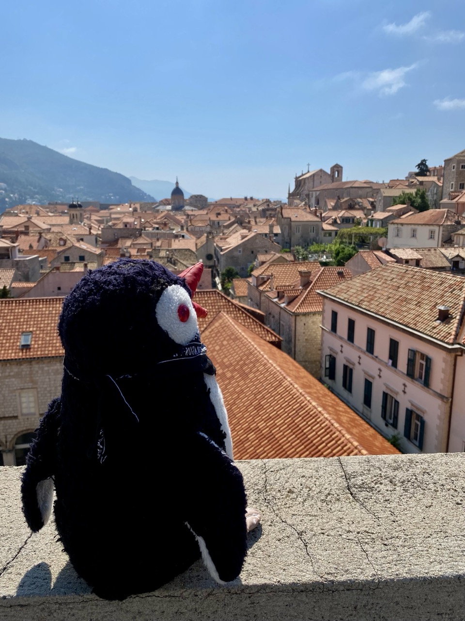 Dubrovnik facts