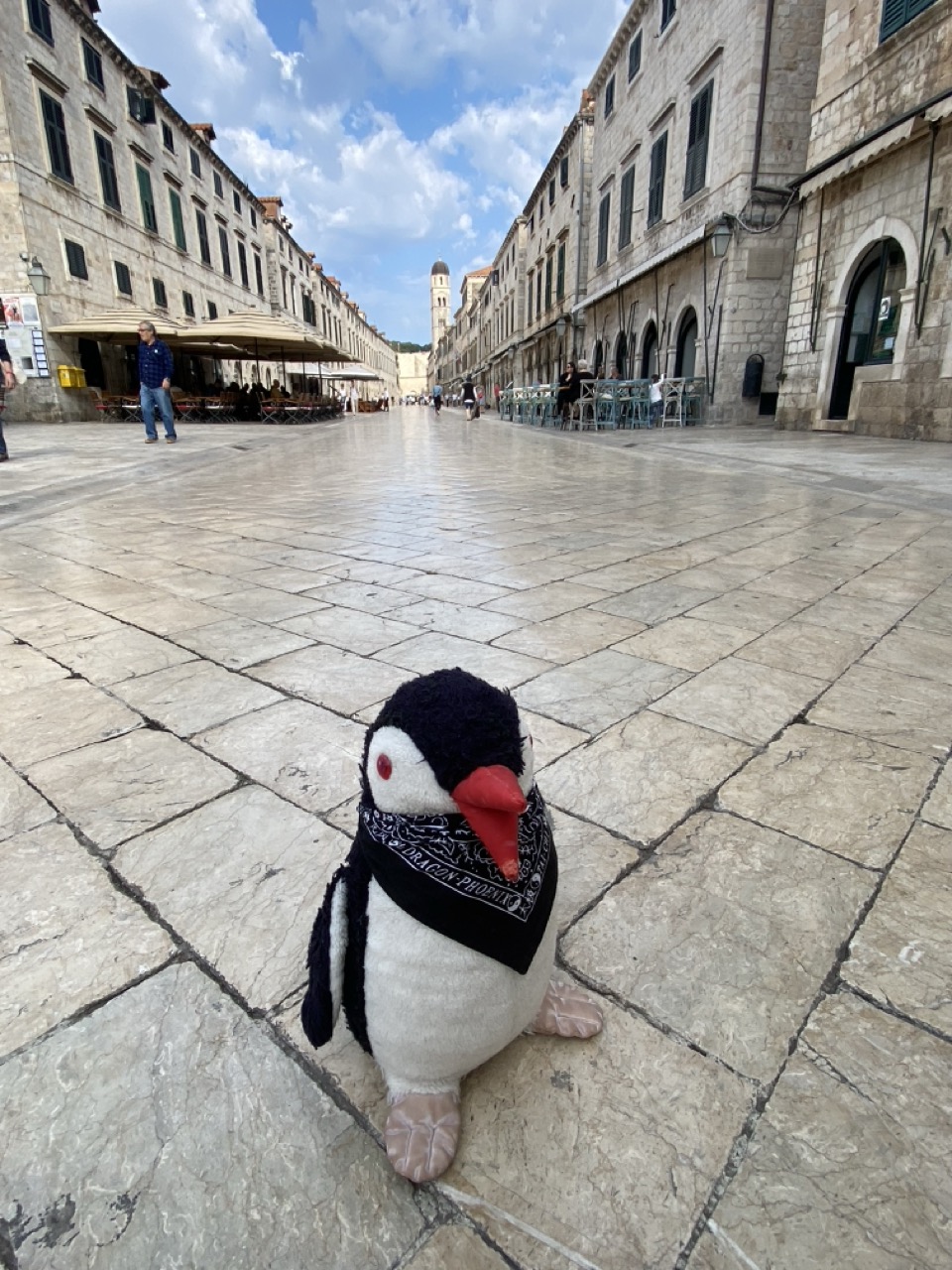 Dubrovnik things to see