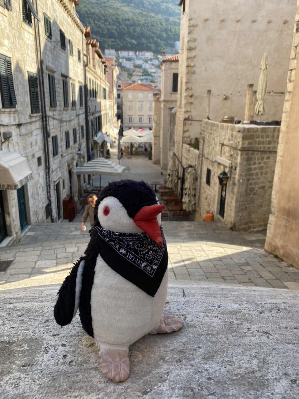 Dubrovnik things to see