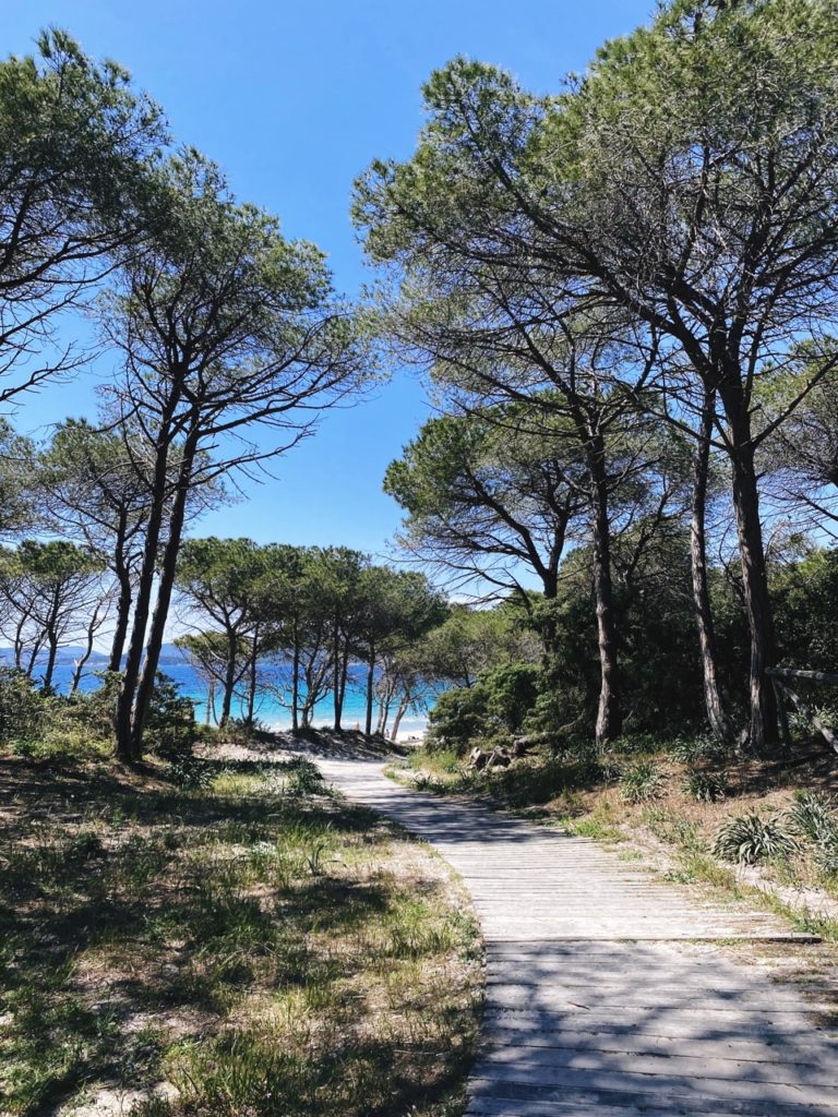 Entering Maria Pia