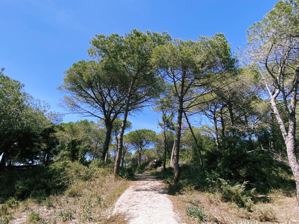 Entering Maria Pia