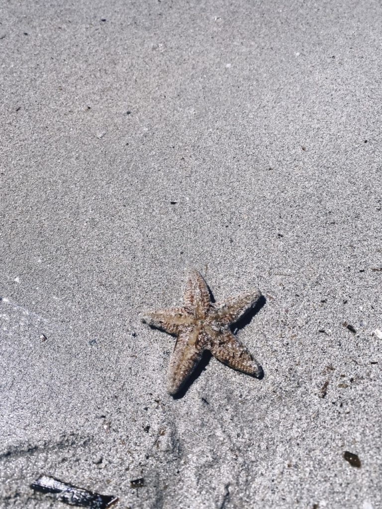 Lido beach