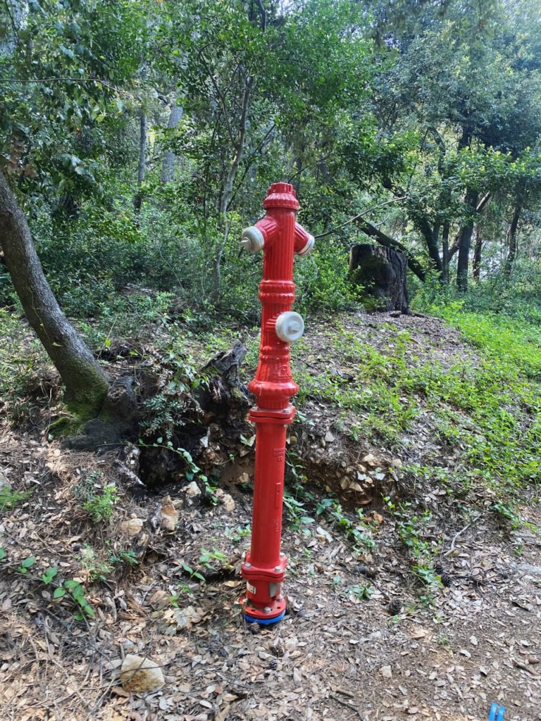 Bright red fire hydrant standing in a wooded area on Lokrum Island