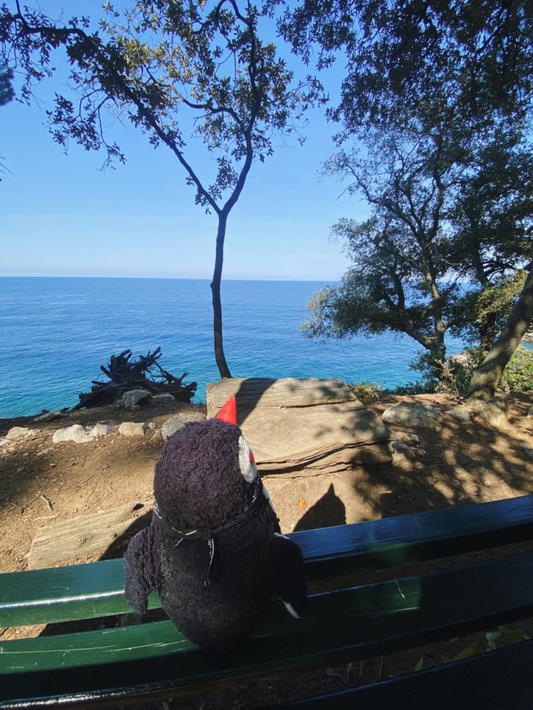 Lokrum Island bench