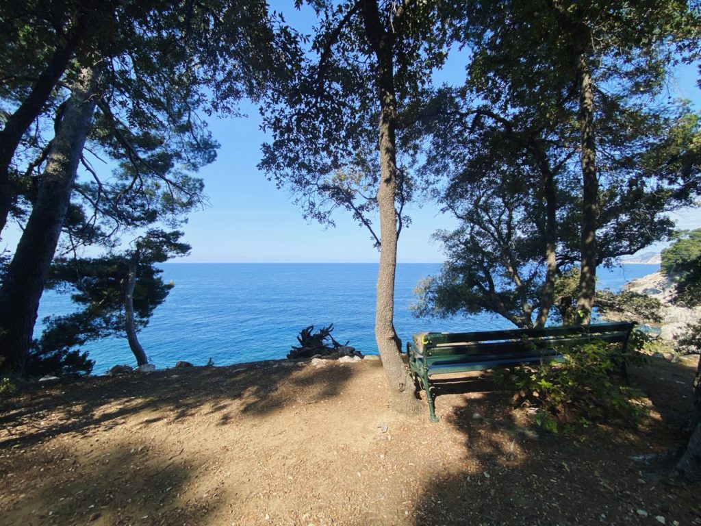 Lokrum Island bench