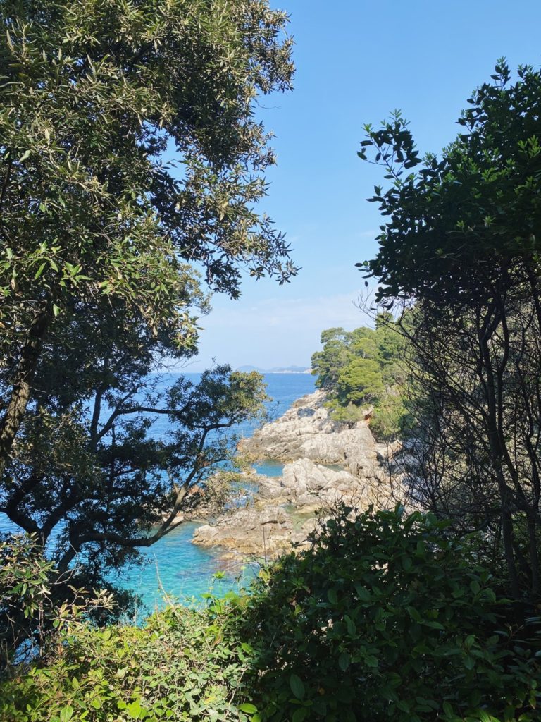 Lokrum Island bench