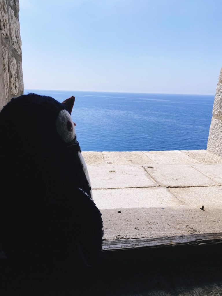 Lovrijenac fort view window