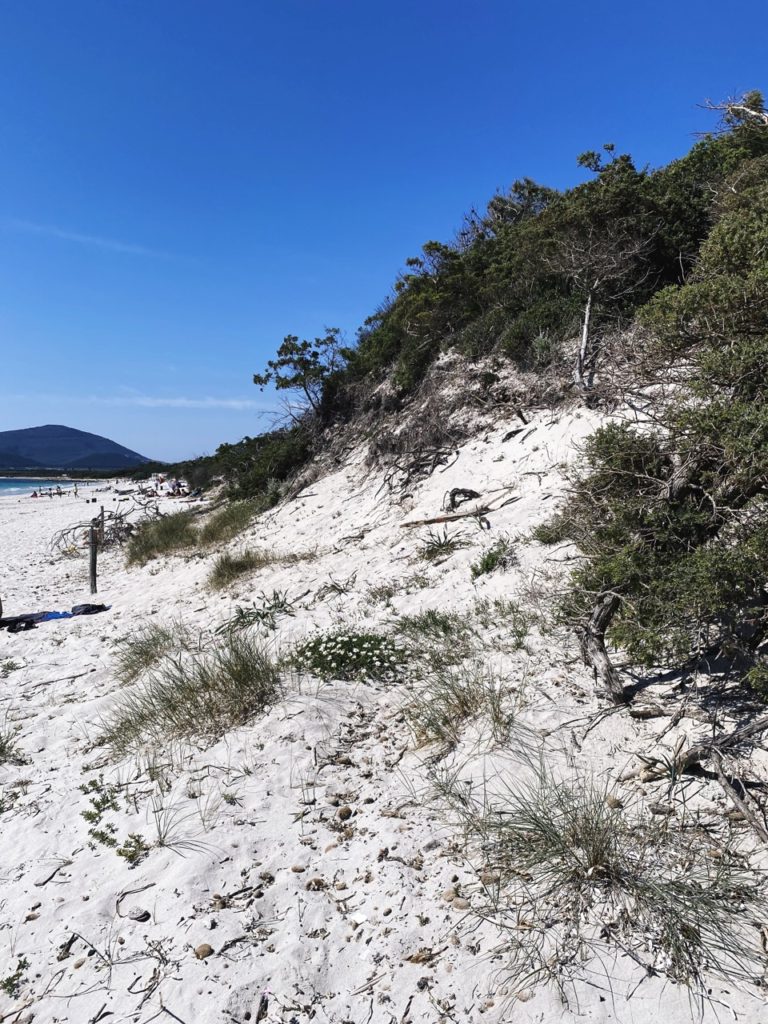 Maria Pia dunes