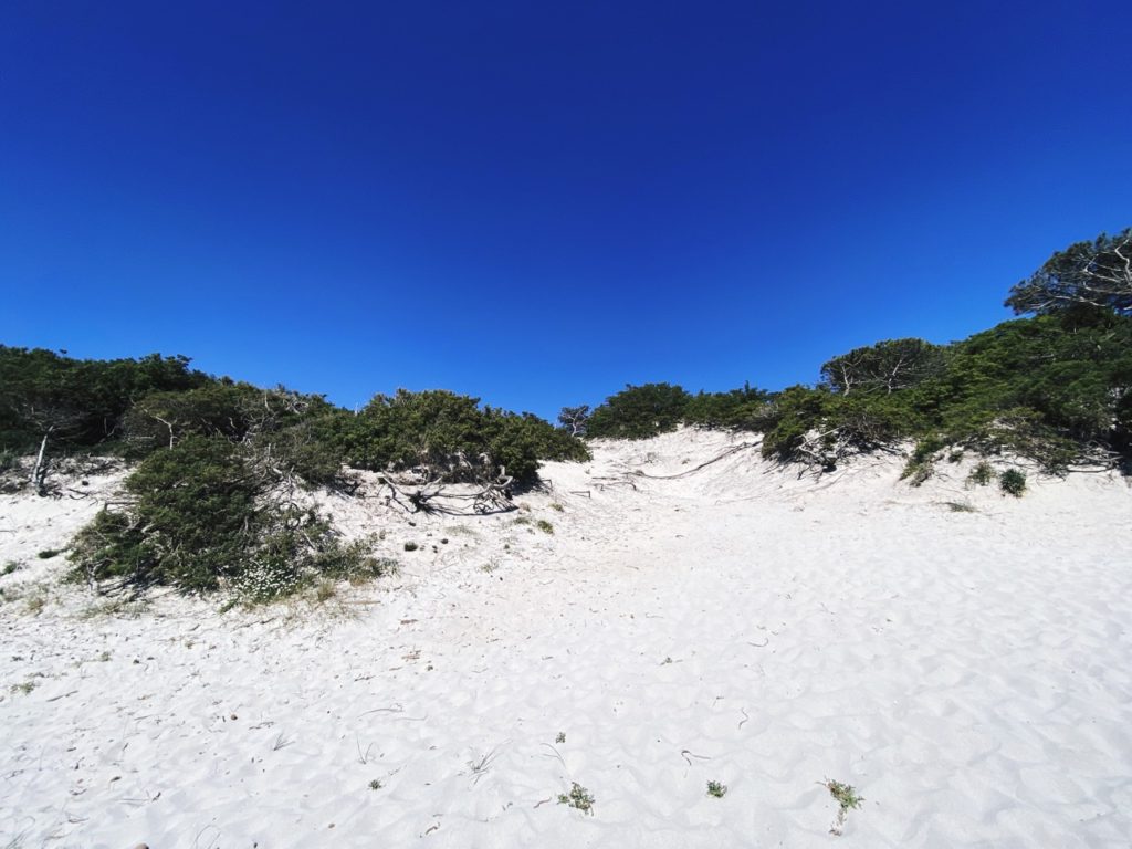 Maria Pia dunes